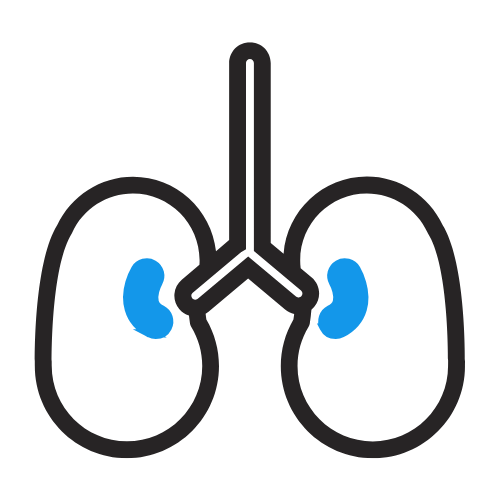 RESPIRATORIA